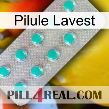 Lavest Pill 28